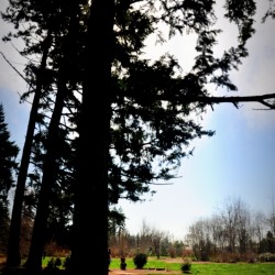 Such a nice sunshine, MUST-GO-OUT day!