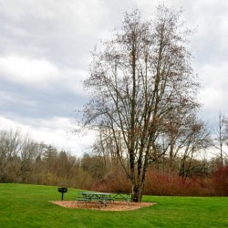Another park: Rood Bridge Park