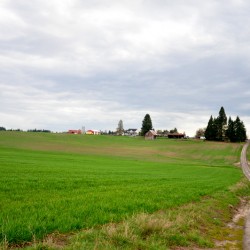 Scenic routes around Cornelius Pass Road