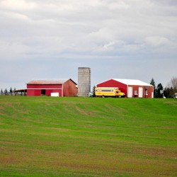 The Red House in the field