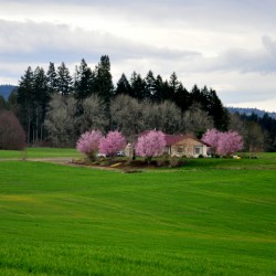 Can you imagine you have a house like this? In such a big field...