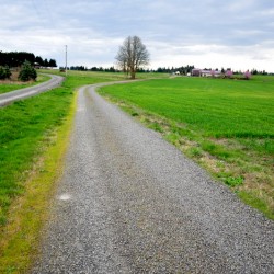 Love this path... :)