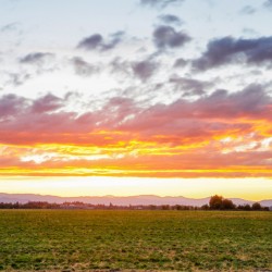 The view just opposite Hillsboro Public Library :)