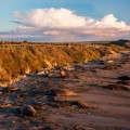 Another view point @ Elephant Seal Rookery